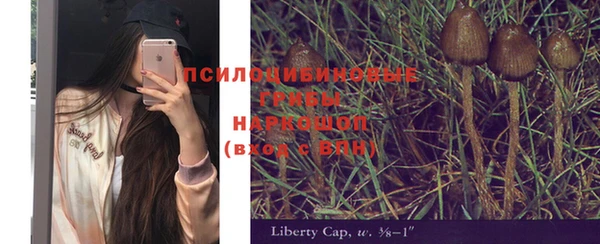 2c-b Лагань