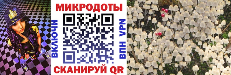 Купить закладки  Боготол  Псилоцибиновые грибы Cubensis 